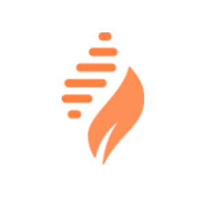 Orange Flame and Waves Logo